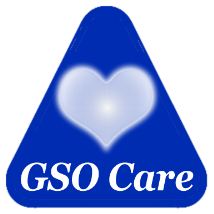 GSO Care Aged Care Software - Innovative, Exceptional and Seminal.